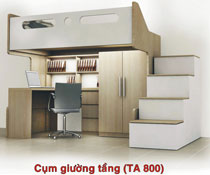 Cụm giường tầng (TA 800)